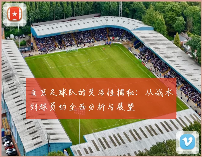 南京足球队的灵活性揭秘：从战术到球员的全面分析与展望
