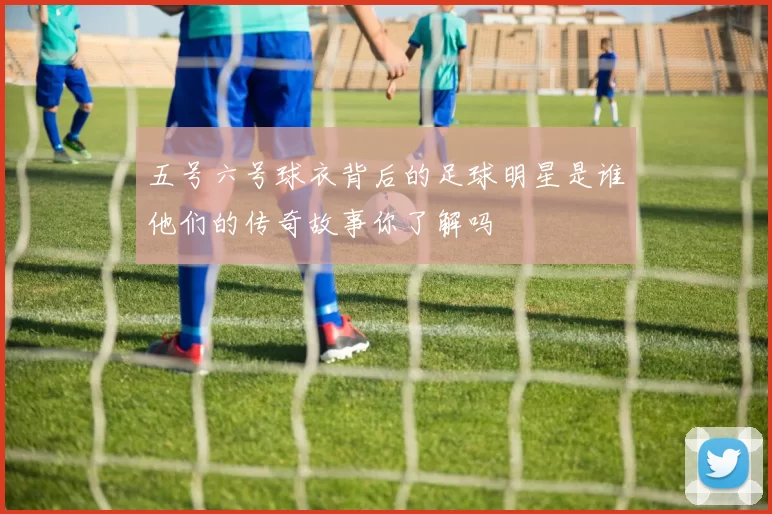 五号六号球衣背后的足球明星是谁他们的传奇故事你了解吗