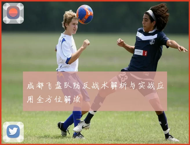 成都飞盘队防反战术解析与实战应用全方位解读