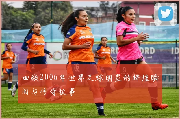 回顾2006年世界足球明星的辉煌瞬间与传奇故事