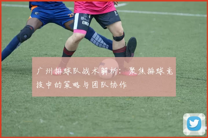 广州排球队战术解析：聚焦排球竞技中的策略与团队协作