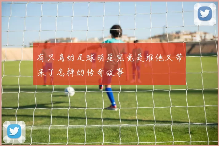 有只鸟的足球明星究竟是谁他又带来了怎样的传奇故事
