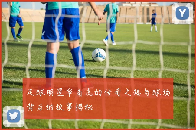 足球明星华南虎的传奇之路与球场背后的故事揭秘