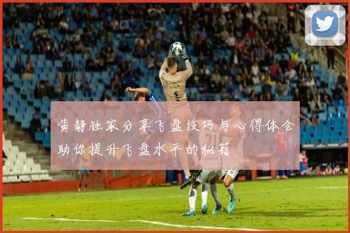 黄静独家分享飞盘技巧与心得体会助你提升飞盘水平的秘籍