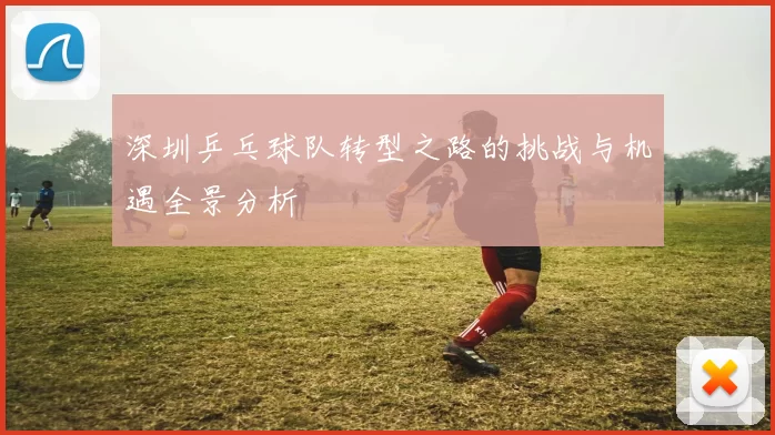 深圳乒乓球队转型之路的挑战与机遇全景分析