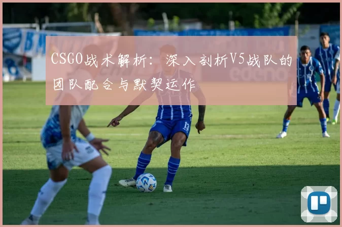 CSGO战术解析：深入剖析V5战队的团队配合与默契运作