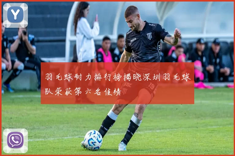 羽毛球耐力排行榜揭晓深圳羽毛球队荣获第六名佳绩