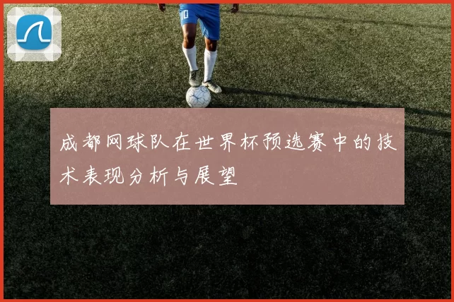 成都网球队在世界杯预选赛中的技术表现分析与展望