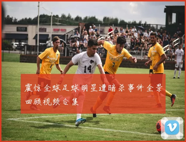 震惊全球足球明星遭暗杀事件全景回顾视频合集