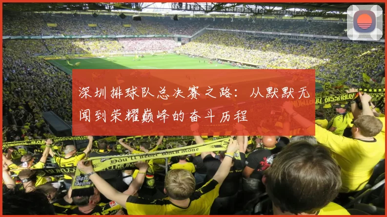 深圳排球队总决赛之路：从默默无闻到荣耀巅峰的奋斗历程