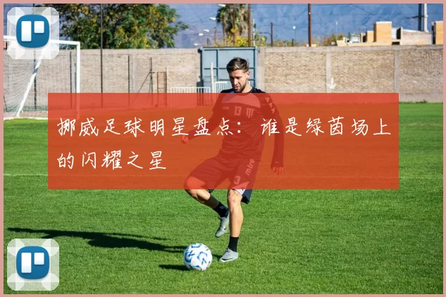 挪威足球明星盘点：谁是绿茵场上的闪耀之星
