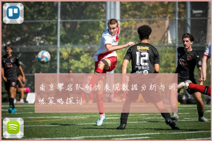 南京攀岩队耐力表现数据分析与训练策略探讨