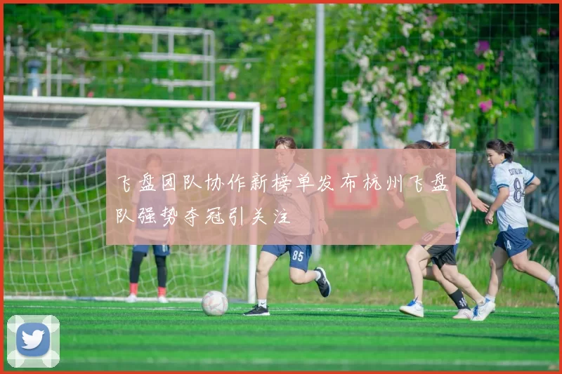 飞盘团队协作新榜单发布杭州飞盘队强势夺冠引关注