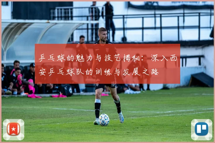 乒乓球的魅力与技艺揭秘：深入西安乒乓球队的训练与发展之路