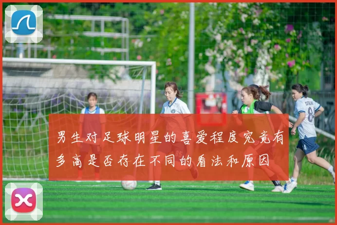 男生对足球明星的喜爱程度究竟有多高是否存在不同的看法和原因