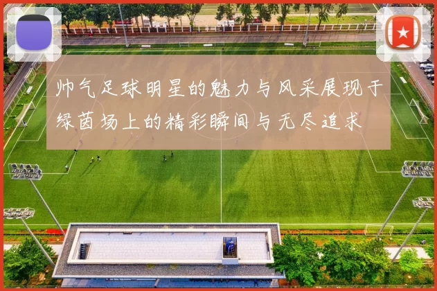帅气足球明星的魅力与风采展现于绿茵场上的精彩瞬间与无尽追求