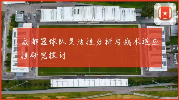 成都篮球队灵活性分析与战术适应性研究探讨