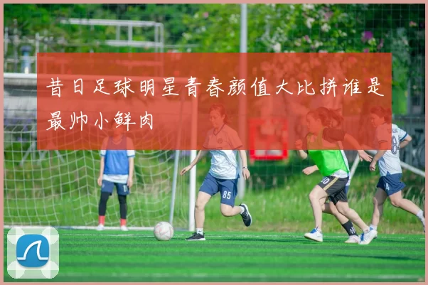 昔日足球明星青春颜值大比拼谁是最帅小鲜肉