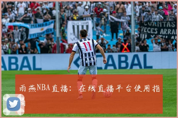雨燕NBA直播：在线直播平台使用指南