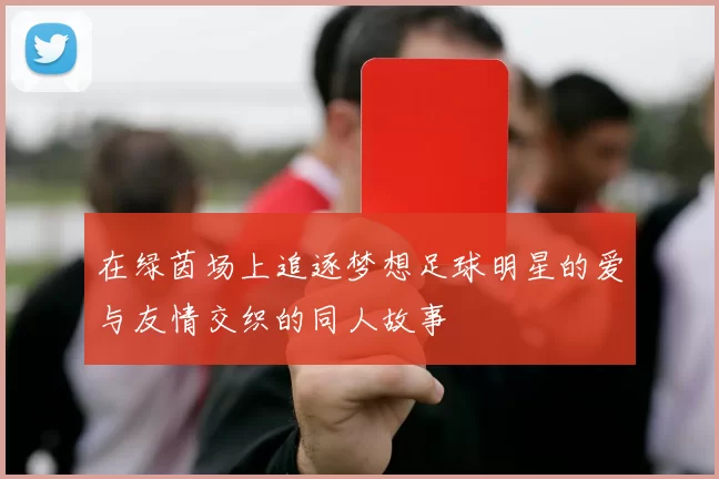 在绿茵场上追逐梦想足球明星的爱与友情交织的同人故事